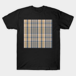 Cottagecore Aesthetic Sorcha 2 Hand Drawn Textured Plaid Pattern T-Shirt